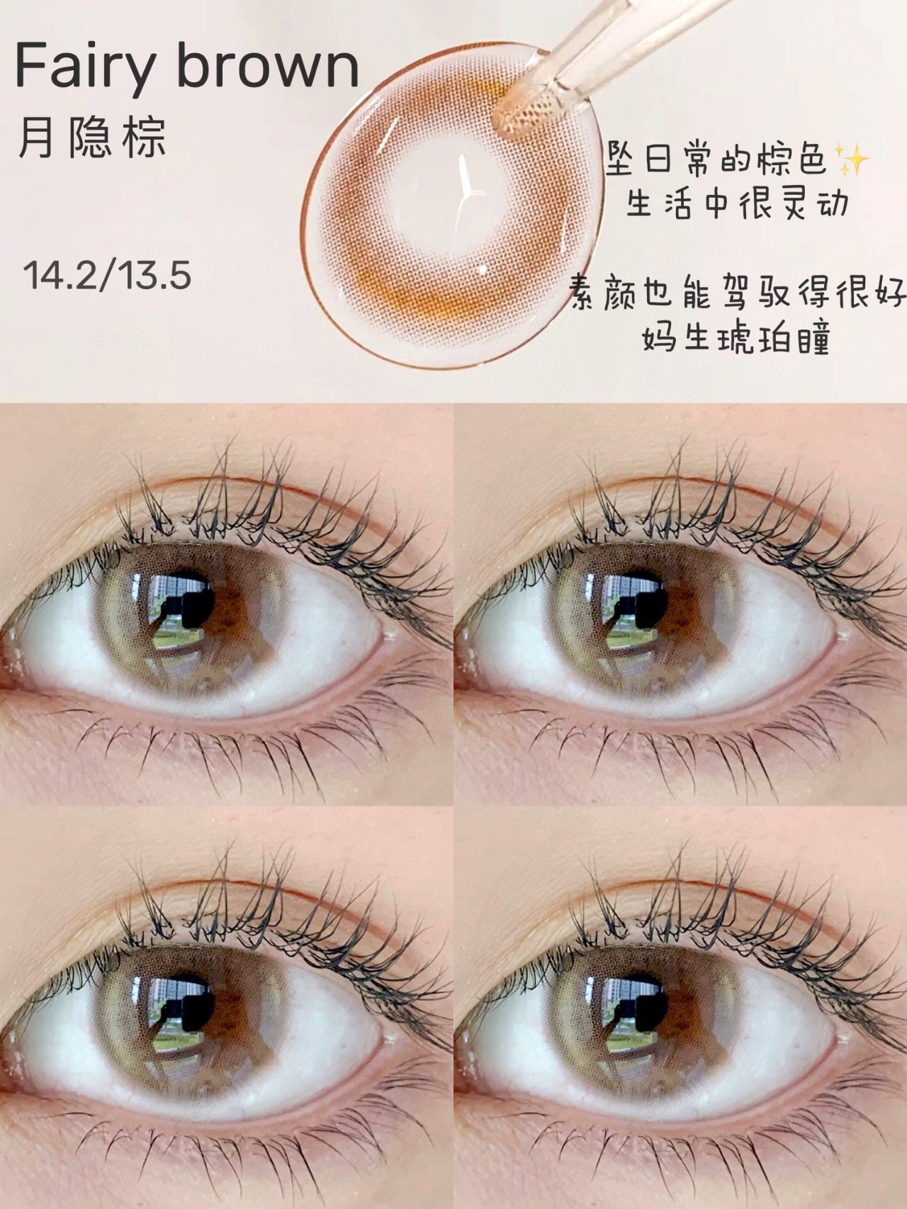 PUDDING BARRIEYES Fairy Brown | 1 Day, 6 Pcs