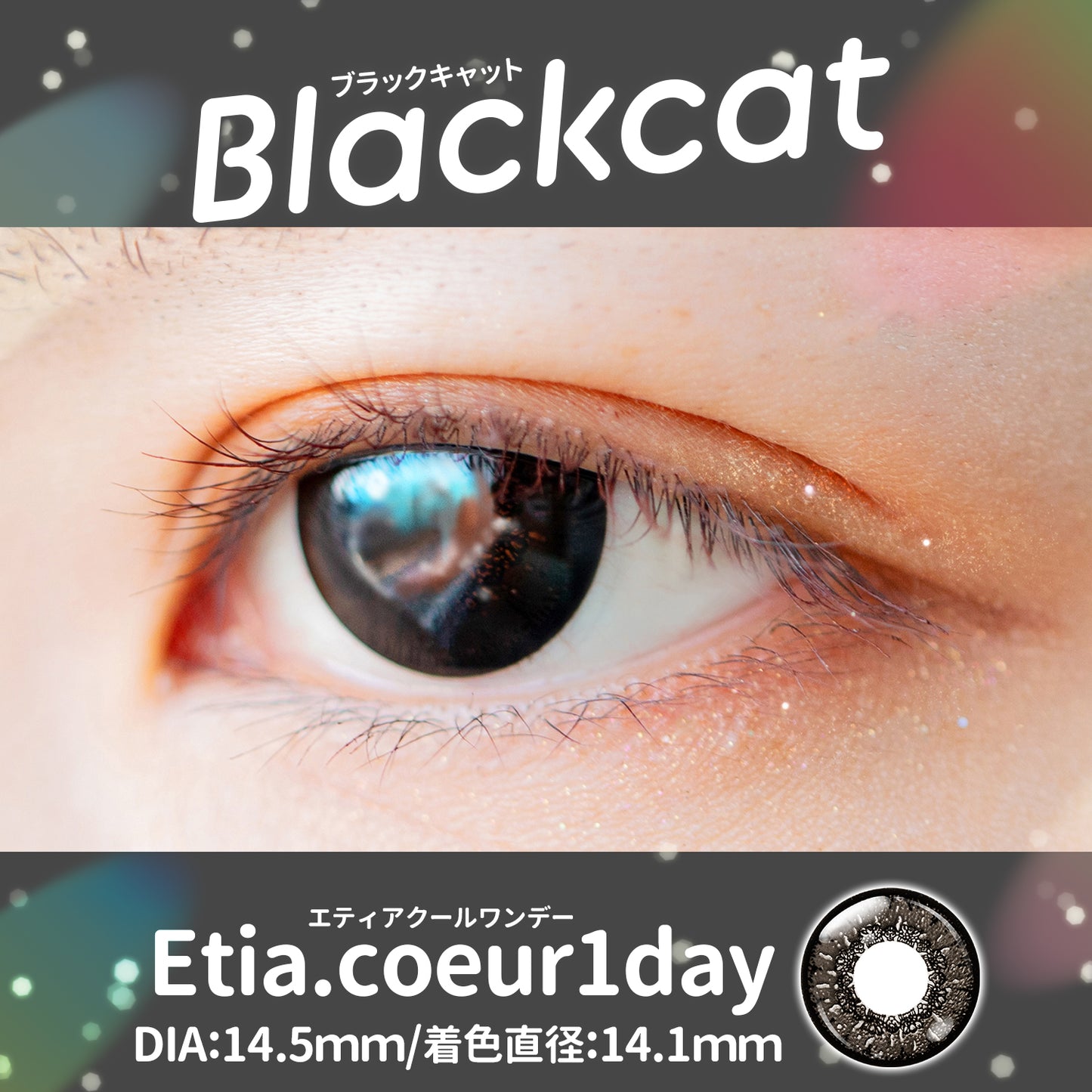 PUDDING Etia Coeur Black Cat | 1 Day, 6 Pcs