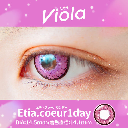 PUDDING Etia Coeur Viola | 1 Day, 6 Pcs