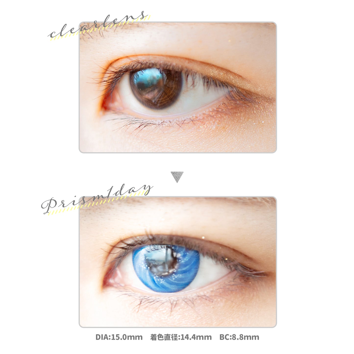 PUDDING Etia Prism Blue | 1 Day, 6 Pcs