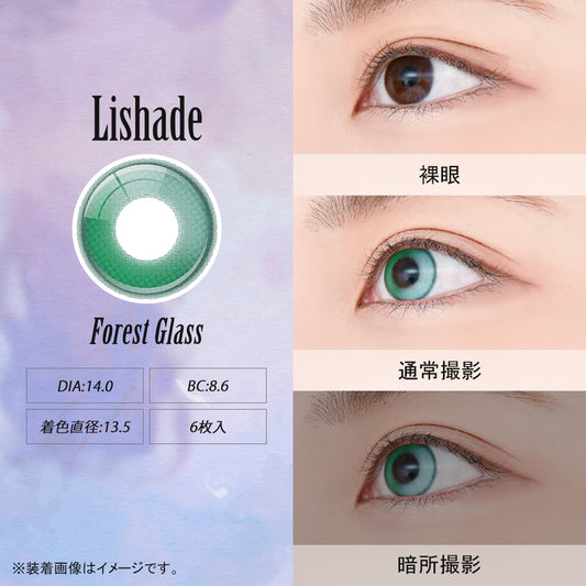 PUDDING Assist Lishade Forest Glass | 1 Day, 6 Pcs