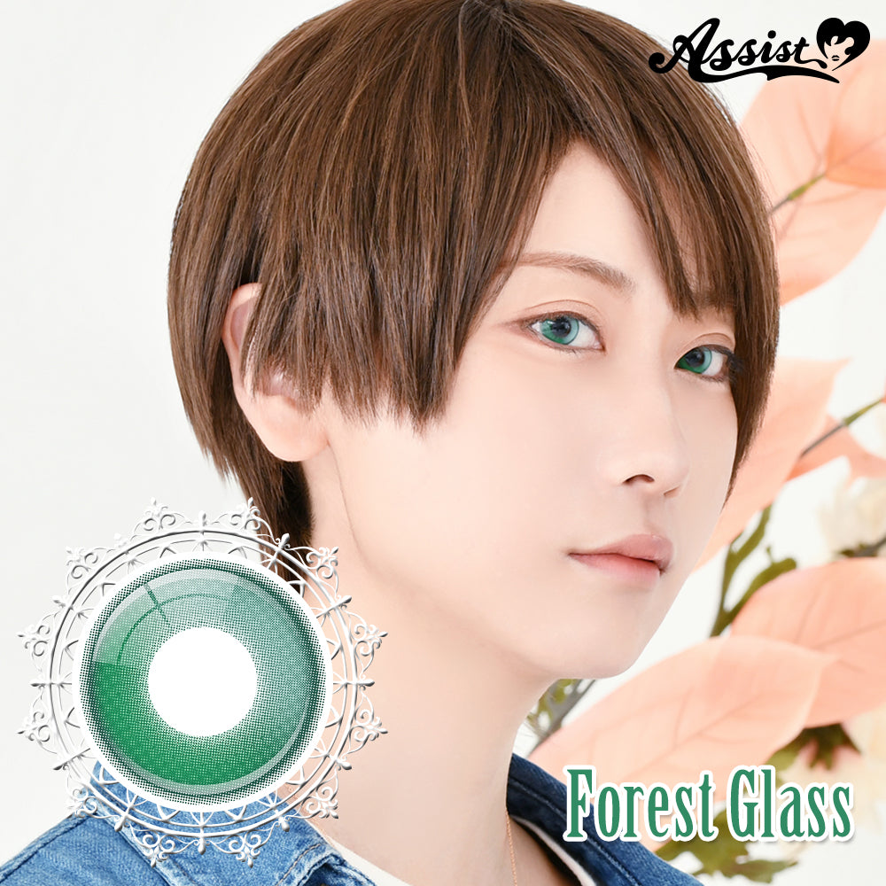 PUDDING Assist Lishade Forest Glass | 1 Day, 6 Pcs