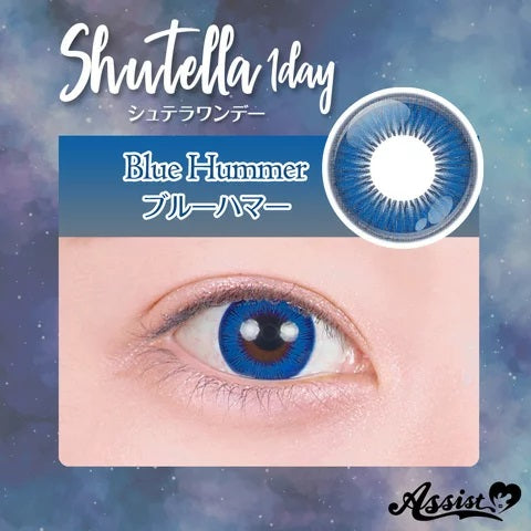 PUDDING Assist Shutella Blue Hummer | 1 Day, 6 Pcs