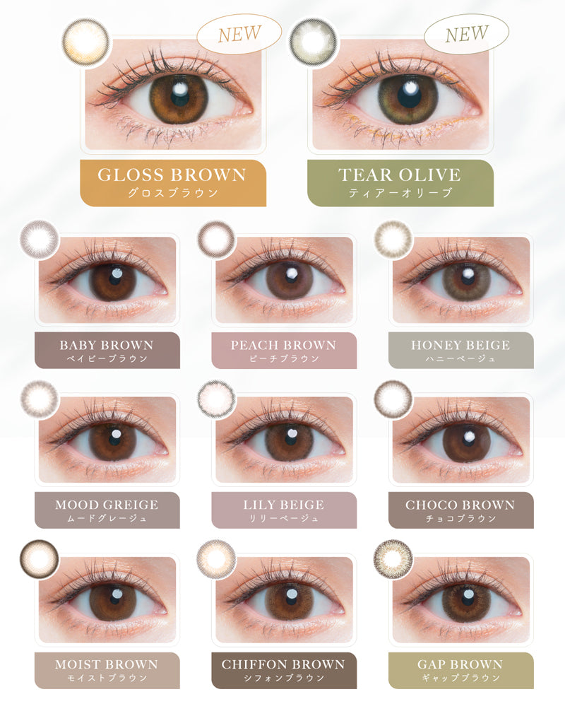 PUDDING Chu's me Chiffon Brown | 1 Day, 10 Pcs