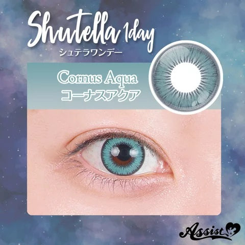 PUDDING Assist Shutella Cornus Aqua  | 1 Day, 6 Pcs