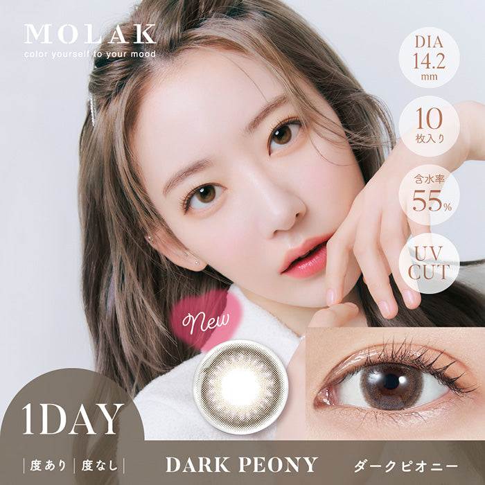 PUDDING MOLAK Dark Peony | 1 Day, 10 Pcs