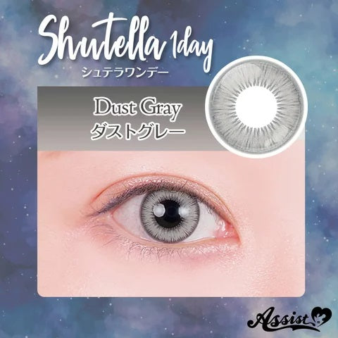 PUDDING Assist Shutella Dust Gray  | 1 Day, 6 Pcs
