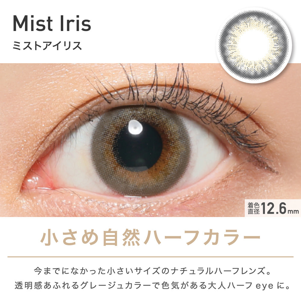 PUDDING ReVIA Mist Iris | 1 Day, 10 Pcs