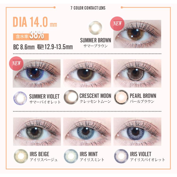 PUDDING BARRIEYES Summer Brown | 1 Day, 6 Pcs