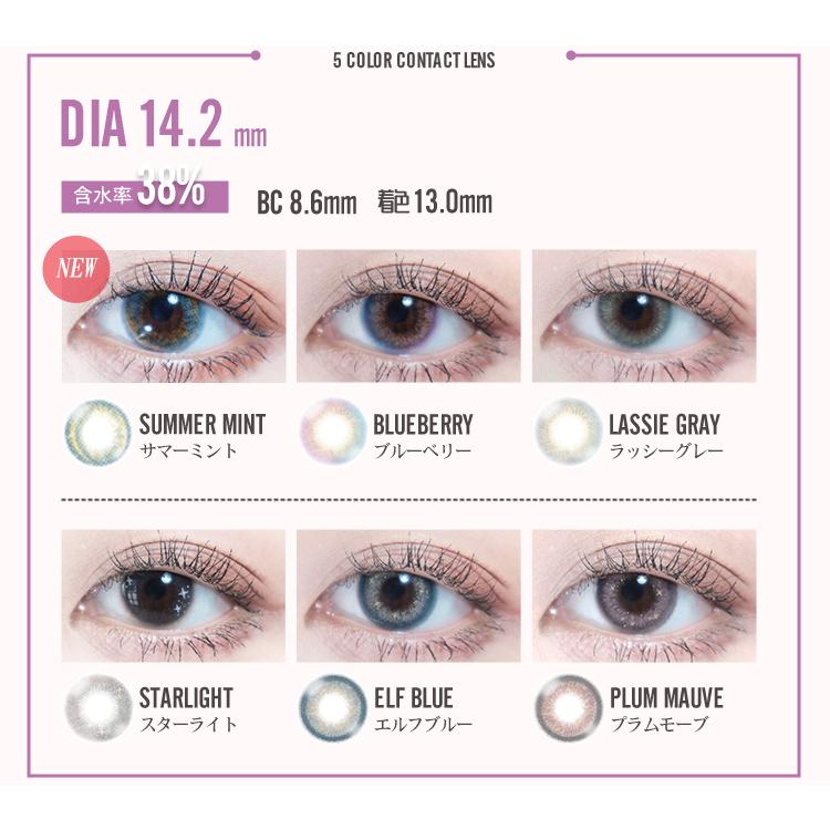 PUDDING BARRIEYES Summer Brown | 1 Day, 6 Pcs