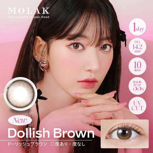 PUDDING MOLAK Dollish Brown | 1 Day, 10 Pcs