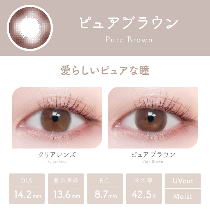 PUDDING Viewm Pure Brown | 1 Day, 10 Pcs