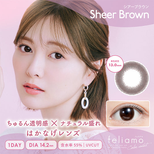 PUDDING feliamo Sheer Brown | 1 Day, 10 Pcs