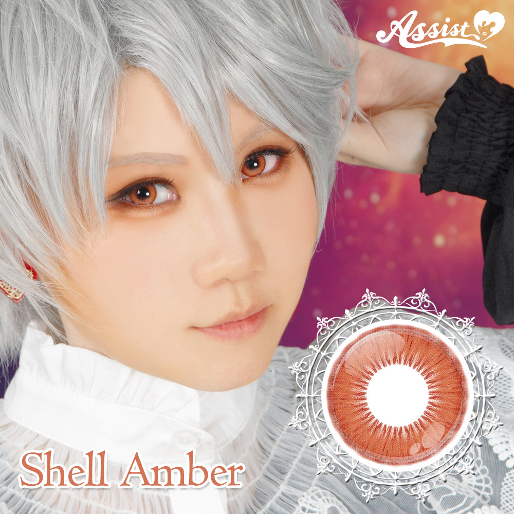 PUDDING Assist Shutella Shell Amber | 1 Day, 6 Pcs