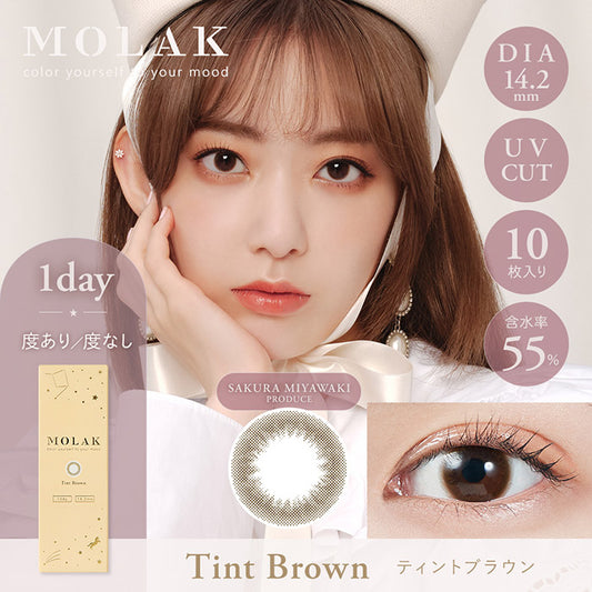 PUDDING MOLAK Tint Brown | 1 Day, 10 Pcs