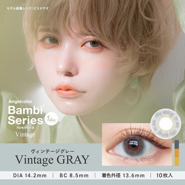 PUDDING Bambi Vintage Gray | 1 Day, 10 Pcs