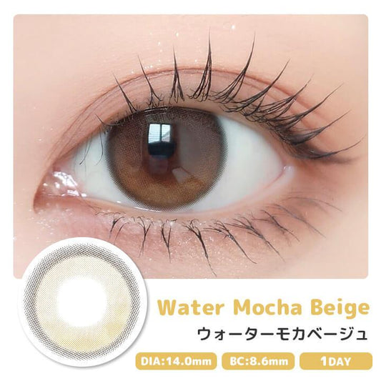 PUDDING envie Water Mocha Beige | 1 Day, 10 Pcs